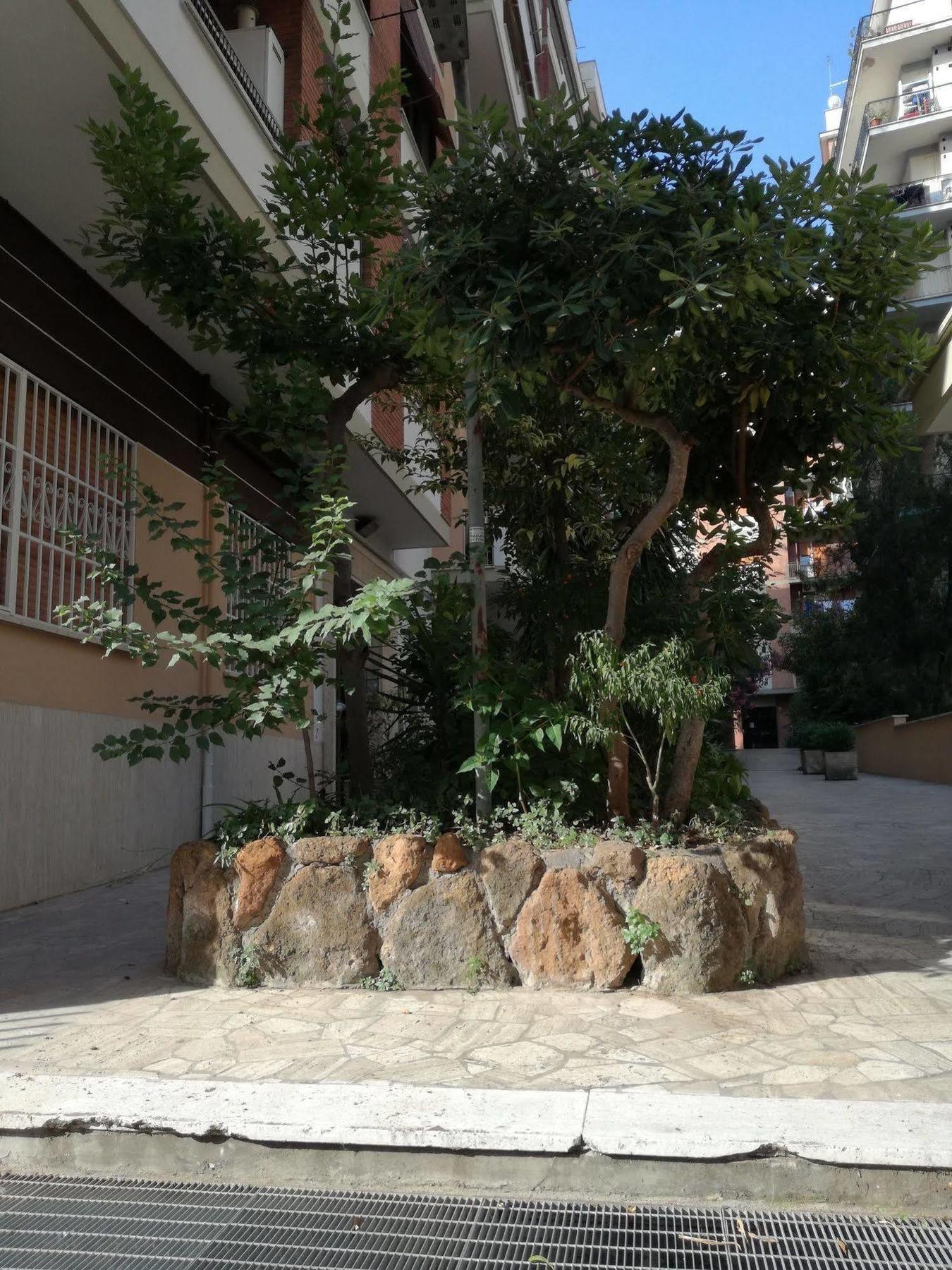 Testa Gioacchino B&B Ρώμη Εξωτερικό φωτογραφία